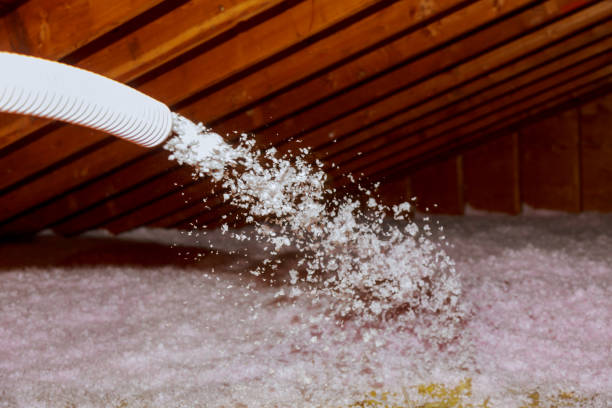 Best DIY Insulation Kits and Guidance in Versailles, KY
