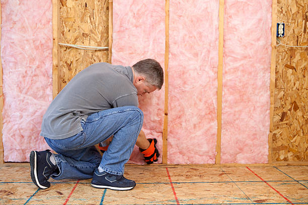 Best Cellulose Insulation in Versailles, KY