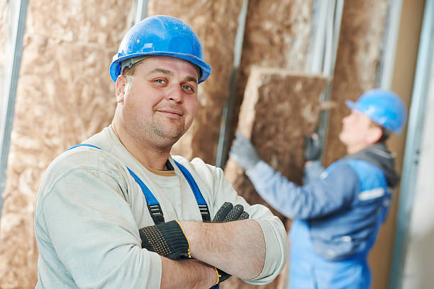 Best Residential Insulation in Versailles, KY