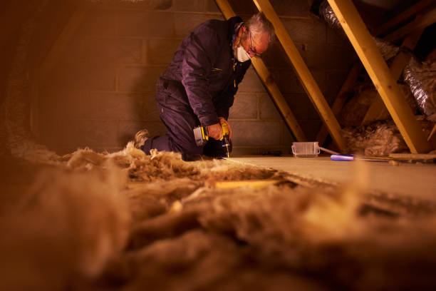 Best Insulation Maintenance and Repair in Versailles, KY